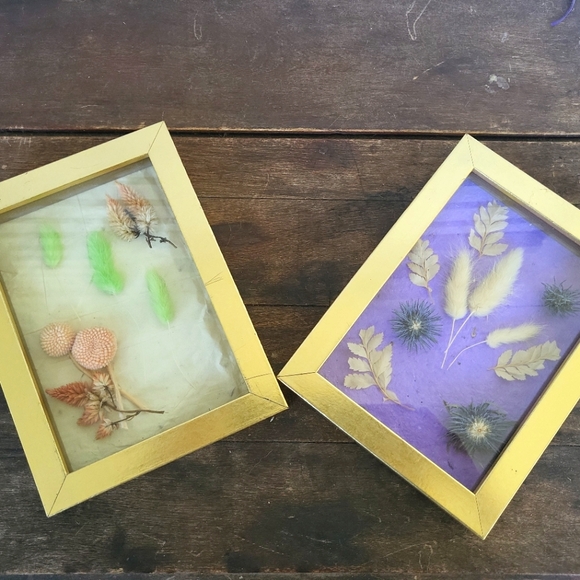 Dried Flower Taxidermy Framed Shadow Box Art Set of 2 - Picture 2 of 11